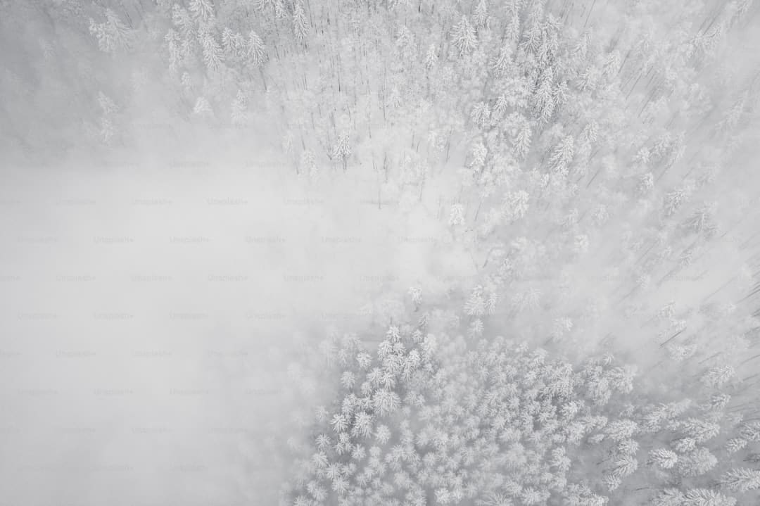 雷暴气候隐藏健康要挟！怎么科学避险？专家提示